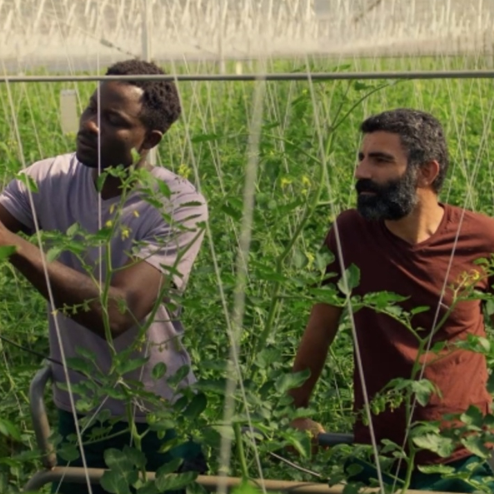 Veranstaltung-Vorschaubild zu 