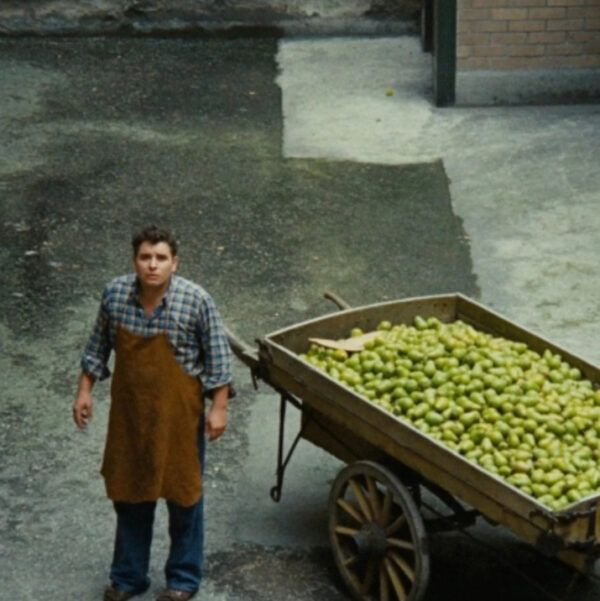 Veranstaltung-Vorschaubild zu 